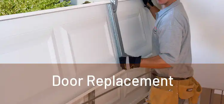  Door Replacement 