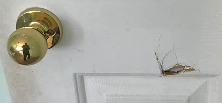 interior door hole repair Doral
