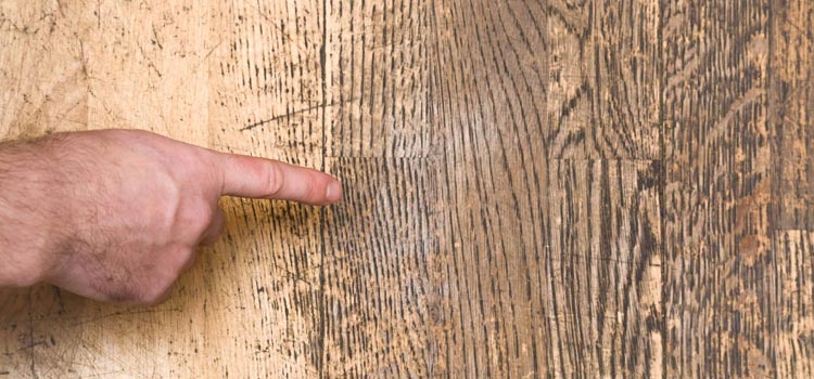 Wood Door Scratch Repair in Doral